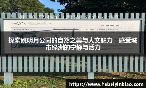 xk星空体育官方网站