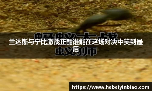 XK体育
