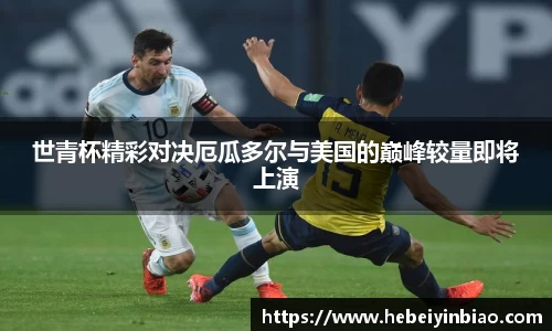 XK体育